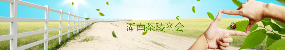 湖南茶陵商会