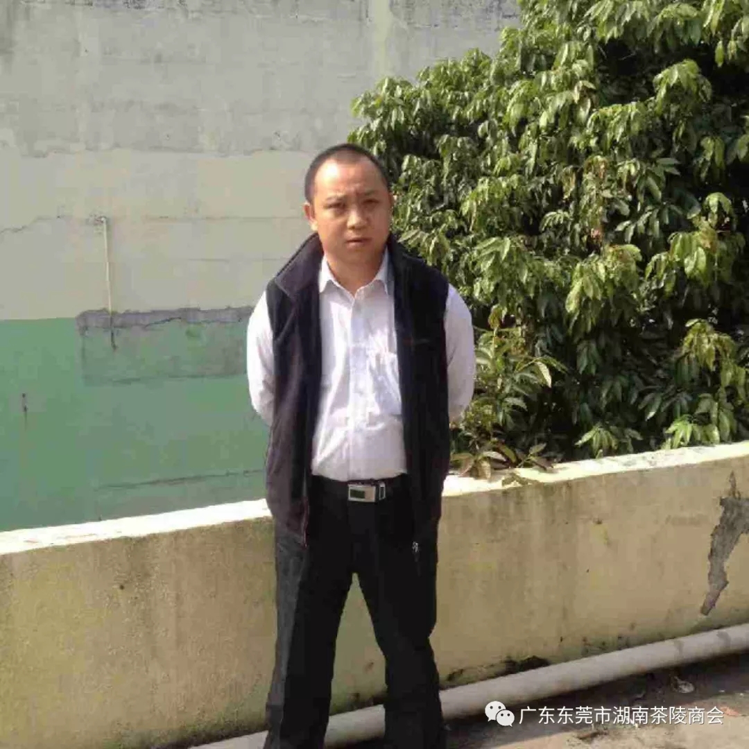 会员：杨永红